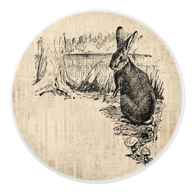 Vintages Kaninchen Illustriert Bunny Art Keramikknauf (Vorderseite)