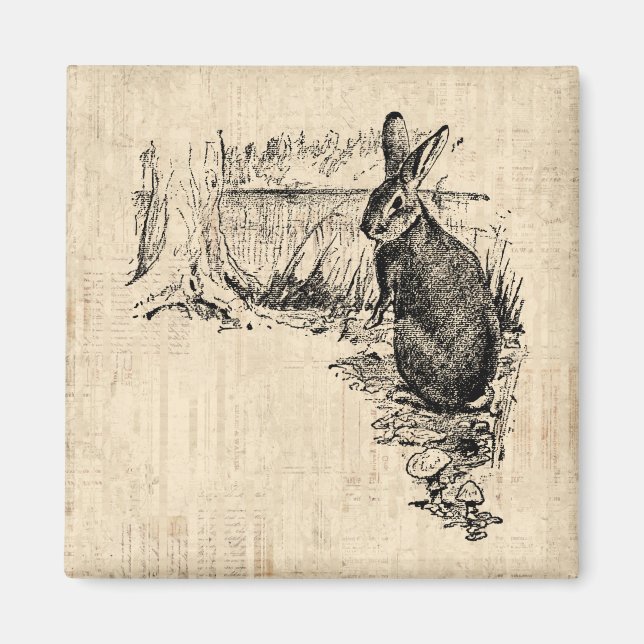 Vintages Kaninchen Illustriert Bunny Art Magnet (Vorne)
