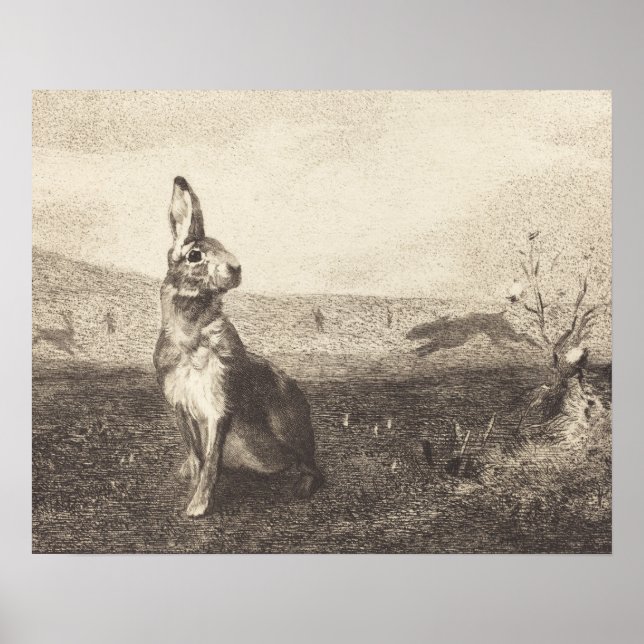 Vintages Kaninchendruckposter Poster (Vorne)