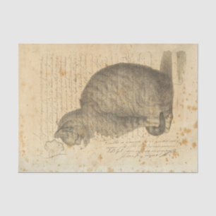 Vintages Katzen-Seidenpapier Seidenpapier