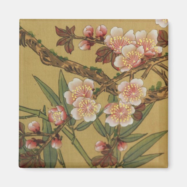 Vintages Kirschblühen asiatische japanische Blume Magnet (Vorne)