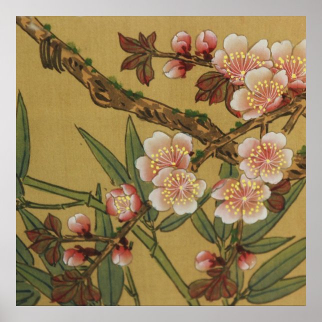 Vintages Kirschblühen asiatische japanische Blume Poster (Vorne)