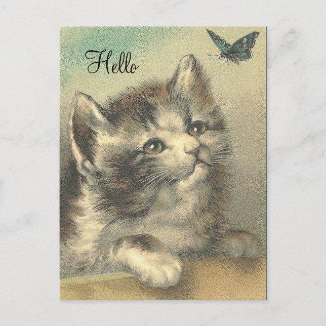 Vintages Kitten beim Butterfly - Postkarte (Vorderseite)