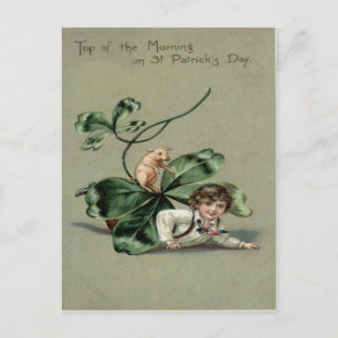 Vintages Kleeblatt Pig St Patrick's Day Card Postkarte