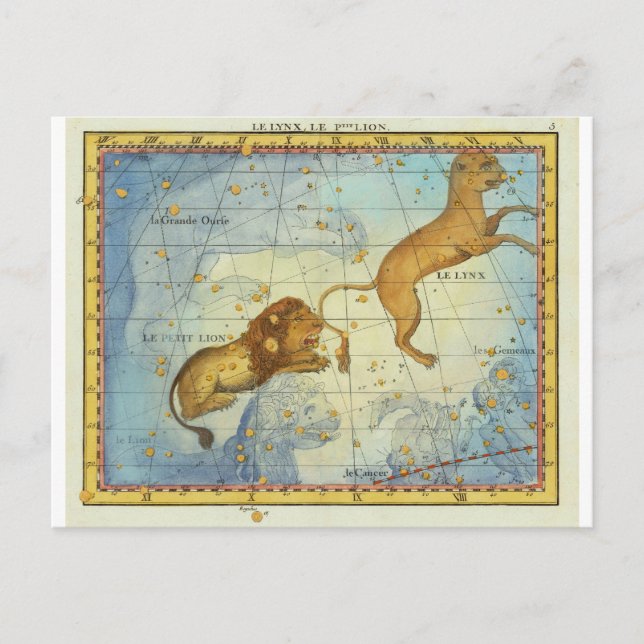 Vintages Konstellationsleo Postkarte (Vorderseite)