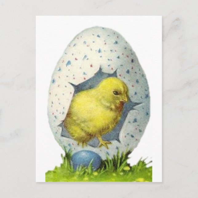 Vintages Küken- und Ostereier Feiertagspostkarte (Vorderseite)