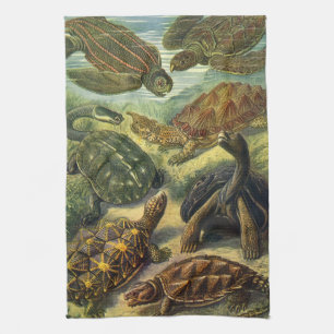 Vintages Land Tortoise Sea Turtles von Ernst Haeck Geschirrtuch