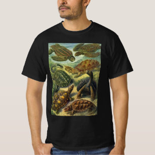 Vintages Land Tortoise Sea Turtles von Ernst Haeck T-Shirt