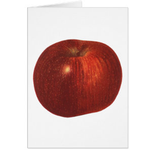 Vintages Lebensmittelobst, Bio, köstlicher Apfel