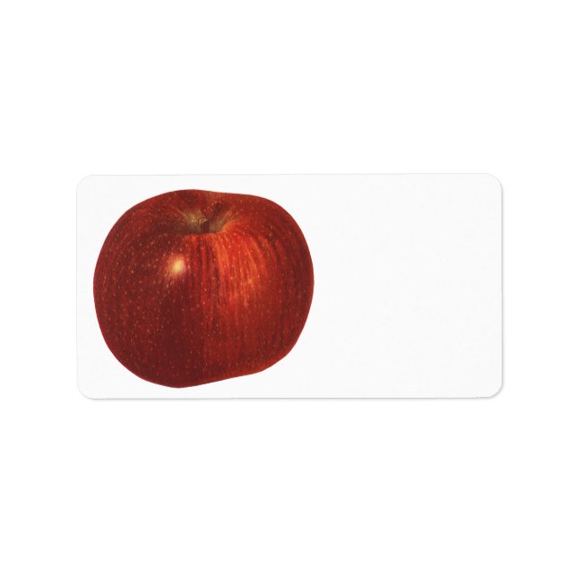 Vintages Lebensmittelobst, Bio, köstlicher Apfel Adressaufkleber (Vorne)