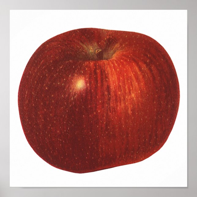 Vintages Lebensmittelobst, Bio, köstlicher Apfel Poster (Vorne)