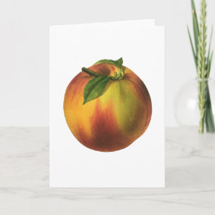 Vintages Lebensmittelobst, reife Bio Pfirsich mit  Karte