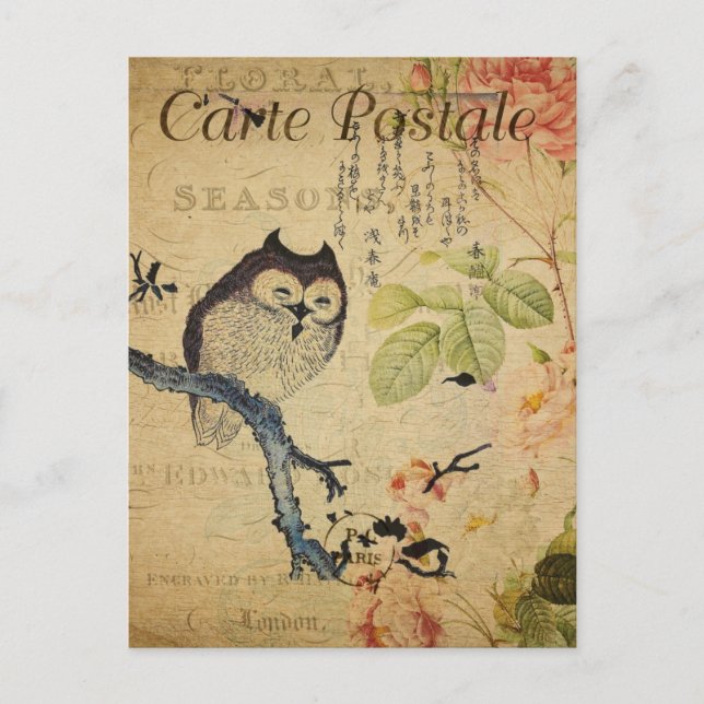 Vintages Little Owl Pink Roses Französisch Postkarte (Vorderseite)
