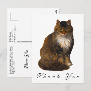 Vintages Maine Coon Cat Painted Portrait Vielen Da Postkarte