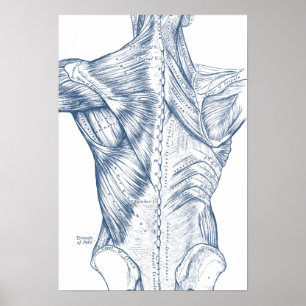 Vintages medizinisches zeichnendes poster