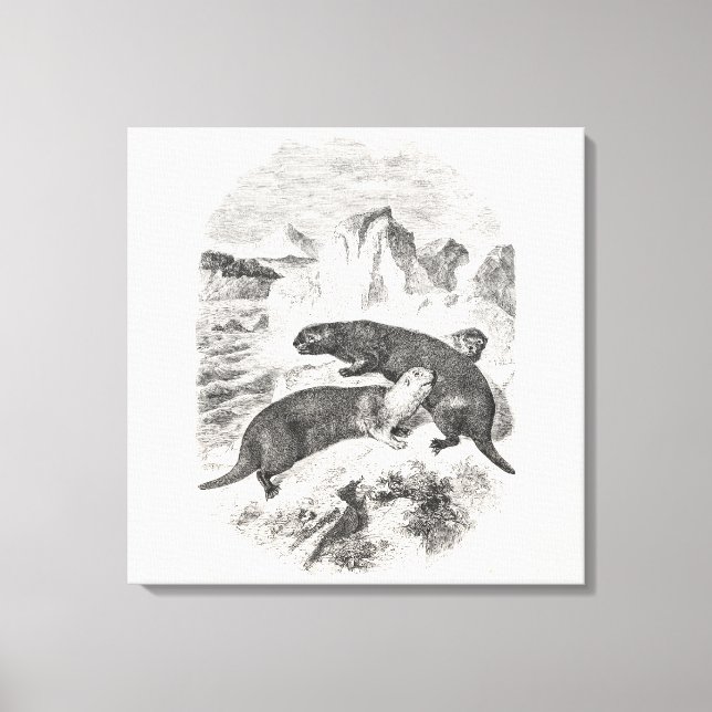 Vintages Meer Otters 1800 Otter Illustration Leinwanddruck (Vorderseite)