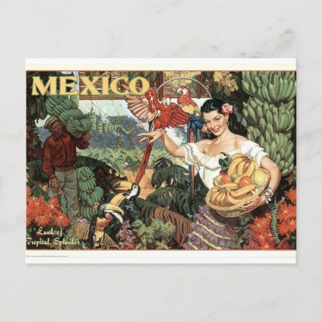 Vintages Mexico Poster Postkarte (Vorderseite)