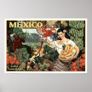 Vintages Mexiko Land Tropischer Splendor Poster