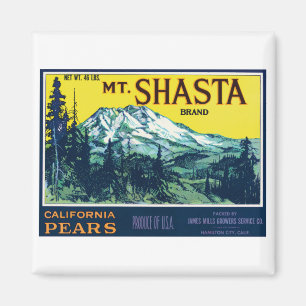 Vintages Mt Shasta California Birnensiegel Magnet