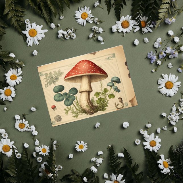 Vintages Mushroom-Decoupage Seidenpapier (Von Creator hochgeladen)