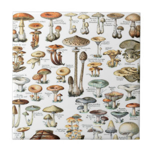 Vintages Mushroom Muster Fliese