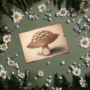 Vintages Mushroom-Papier Seidenpapier
