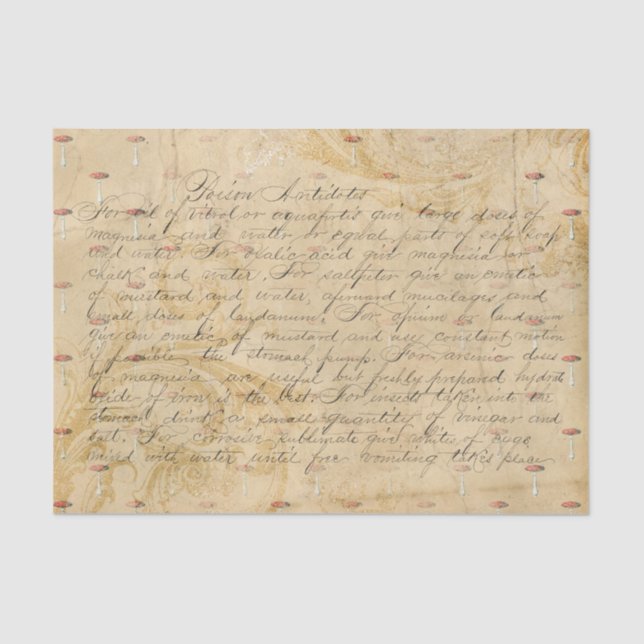 Vintages Mushroom-Skript und Rezept Seidenpapier (Vorderseite)