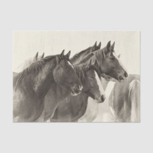 Vintages Mustang Horses Tissue Paper Seidenpapier