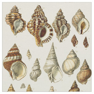 Vintages Muster für Seashell-Illustrationen Stoff