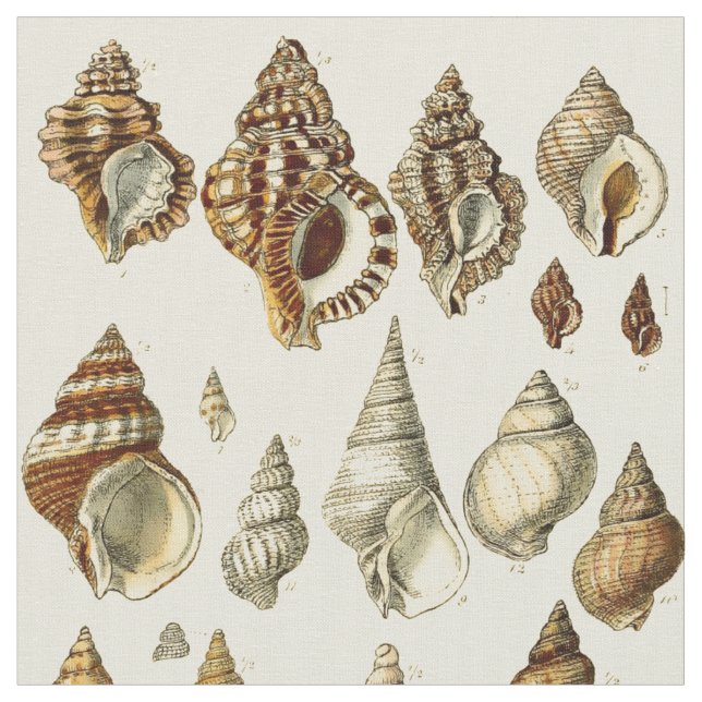 Vintages Muster für Seashell-Illustrationen Stoff (Nahaufnahme)