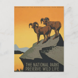 Vintages Nationalpark Retro Travel Poster Postkarte