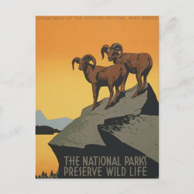 Vintages Nationalpark Retro Travel Poster Postkarte (Vorderseite)