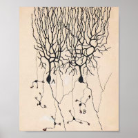 Vintages Neuron Zeichnend von Santiago Ramón y Caj