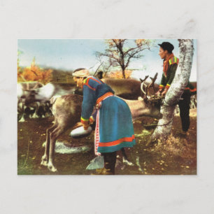 Vintages Norwegen, Rentiere Postkarte
