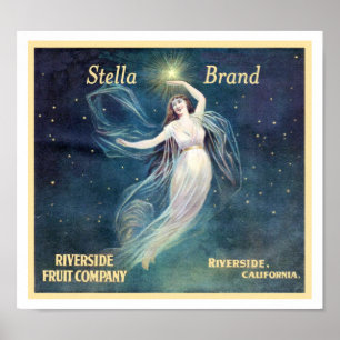 Vintages Obst Poster