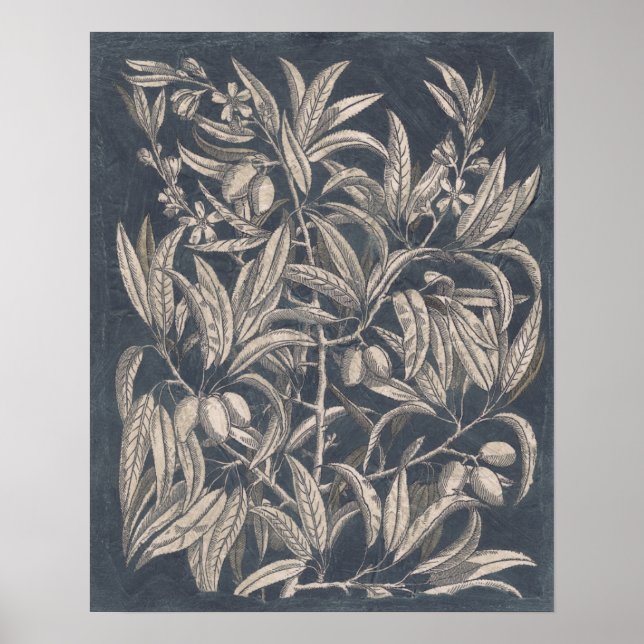 Vintages Obst und Gemüse I Poster (Vorne)