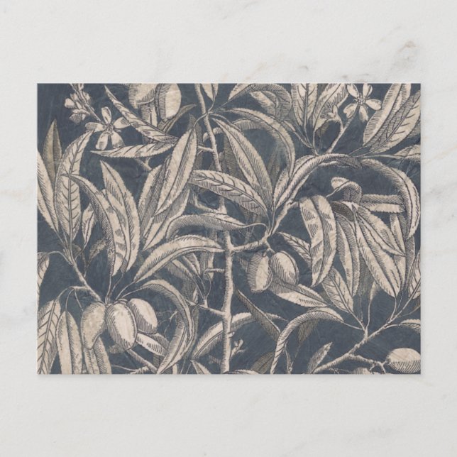 Vintages Obst und Gemüse I Postkarte (Vorderseite)