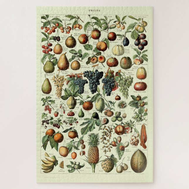 Vintages Obst von Adolphe Millot Puzzle (Vertikal)