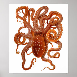 Vintages Oktopus-Poster Poster