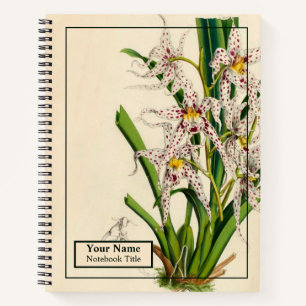 Vintages Oncidium Naevium Orchid-Notebook Notizbuch