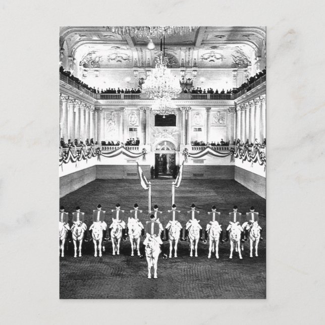Vintages Österreich Wien Spanische Reitschule Postkarte (Vorderseite)