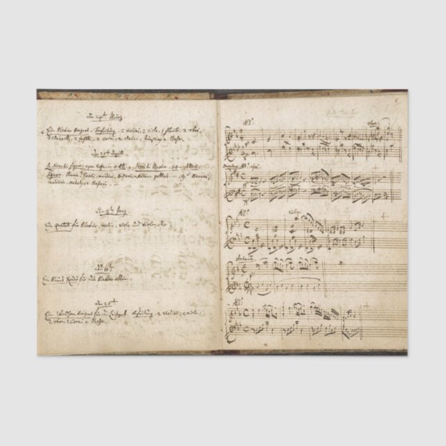 Vintages Österreichisches Handschriftmusik-Noteboo Seidenpapier (Vorderseite)