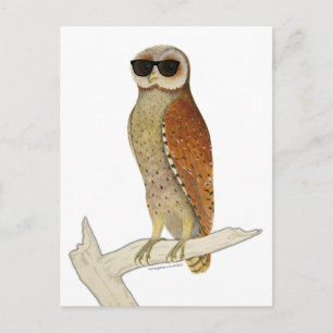 Vintages Owl Tragen einer Sonnenbrille Postkarte