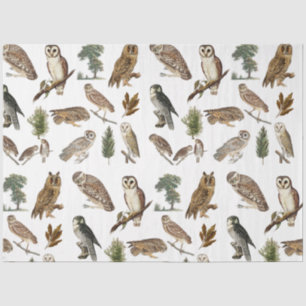 Vintages Owl Wasserfarbenwaldmuster Seidenpapier