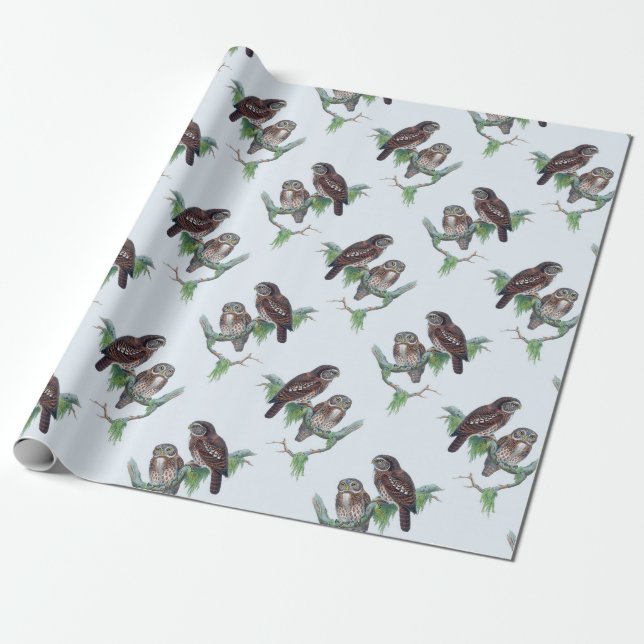 Vintages Owl Wrapper Geschenkpapier (Ungerollt)