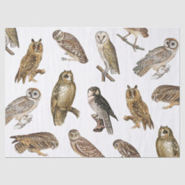Vintages Owls-Muster Seidenpapier