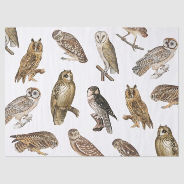Vintages Owls-Muster Seidenpapier (Vorderseite)