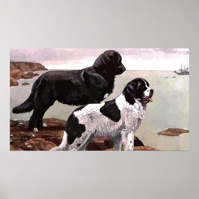 Vintages Painted Newfundlands Poster (Vorne)