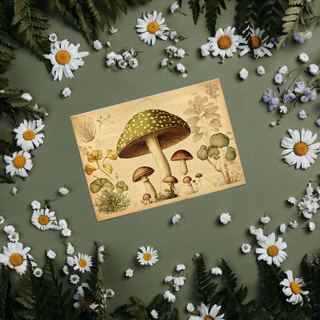 Vintages Papier Mushroom-Französisch-Decoupage (Von Creator hochgeladen)