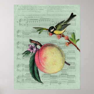 Vintages Peach and Bird Poster